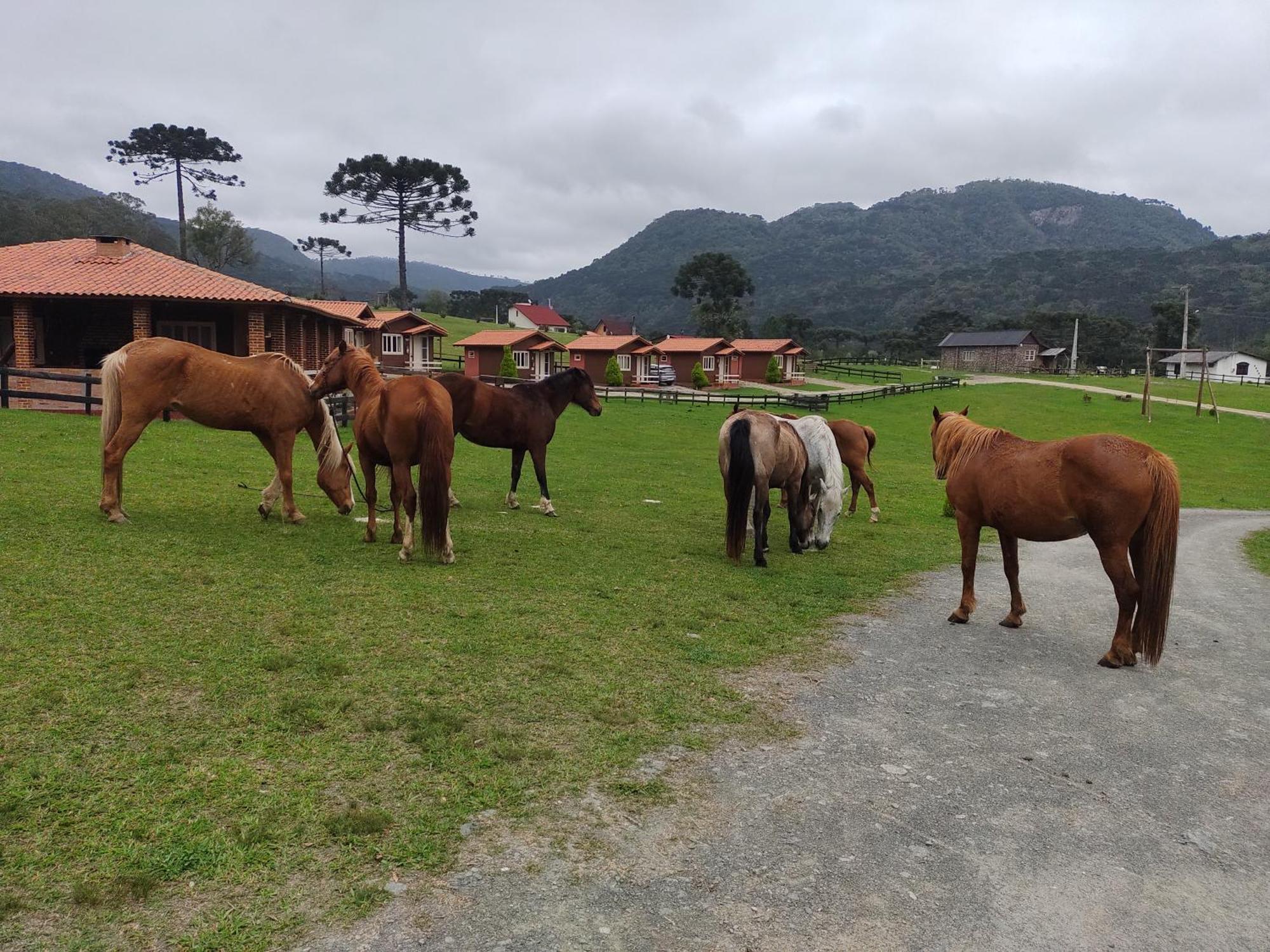 Sítio Rancho crioulo Urubici Exterior foto