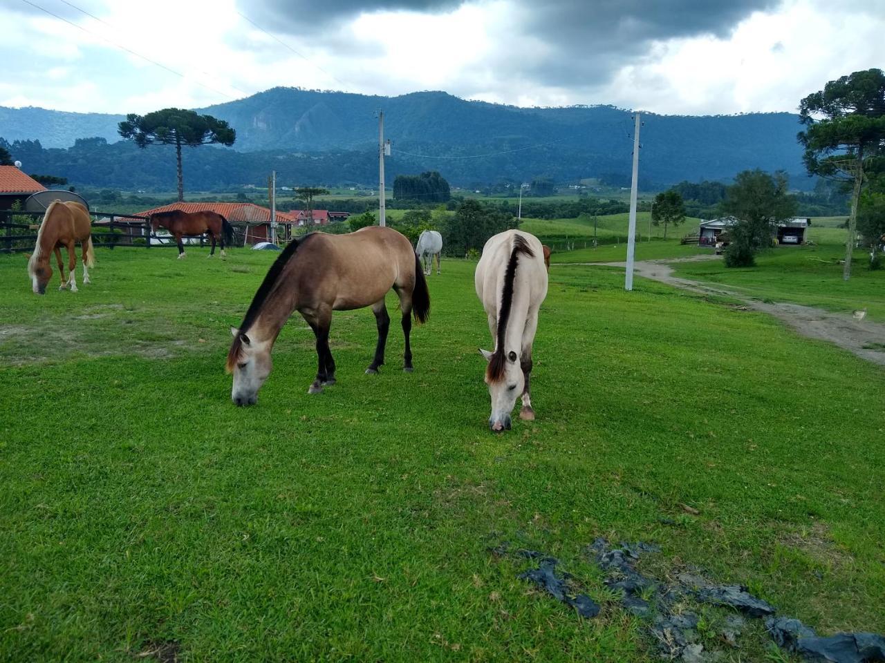 Sítio Rancho crioulo Urubici Exterior foto